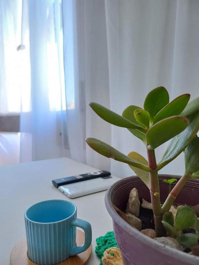 Alojamiento En Tigre Buenos Aires Hotel Екстериор снимка